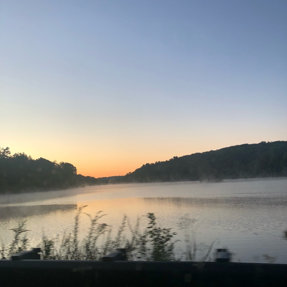 Meet your Posher, Bridget